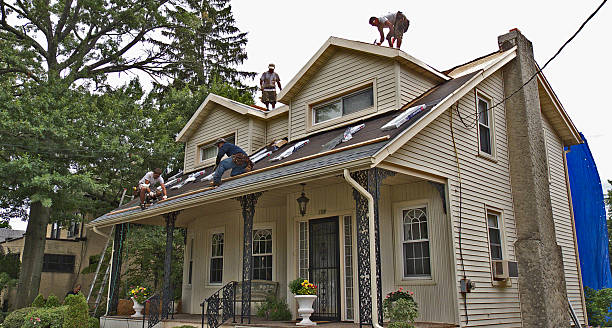 Roof Waterproofing Services in Hawaiian Paradise Park, HI